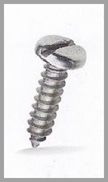 ss screw self tapping pan slotted